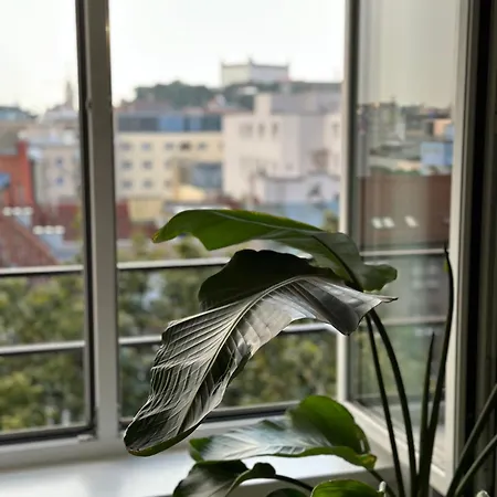 Urban Zenhouse No 2-breakfast Optional Bratislava