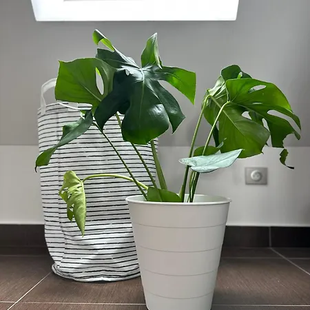 Daire Urban Zenhouse No 2-breakfast Optional Bratislava